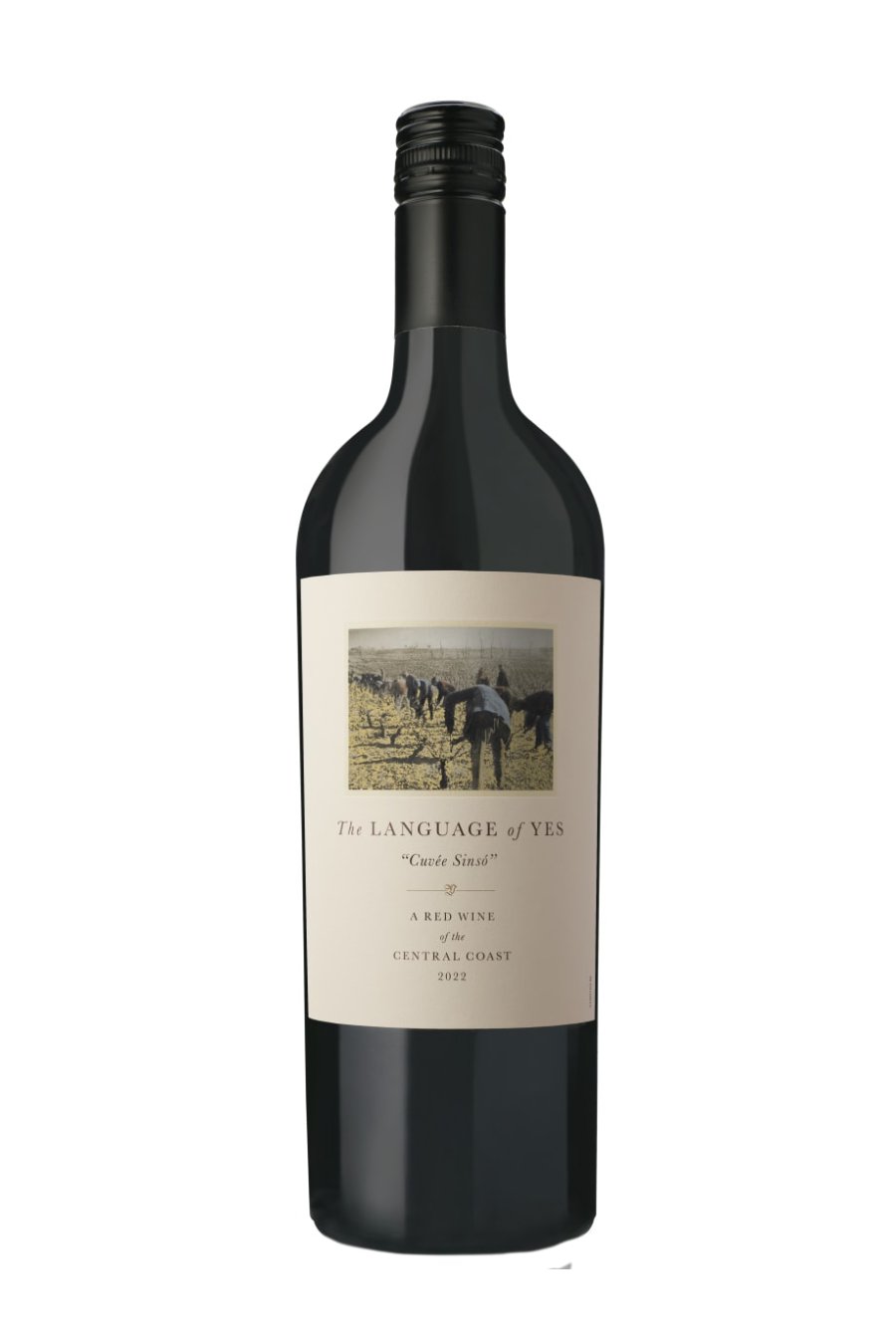 LanguageOfYesCuveeSinso2022_75