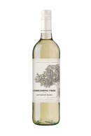 The Dreaming Tree Sauvignon Blanc 2025 - 750 ML