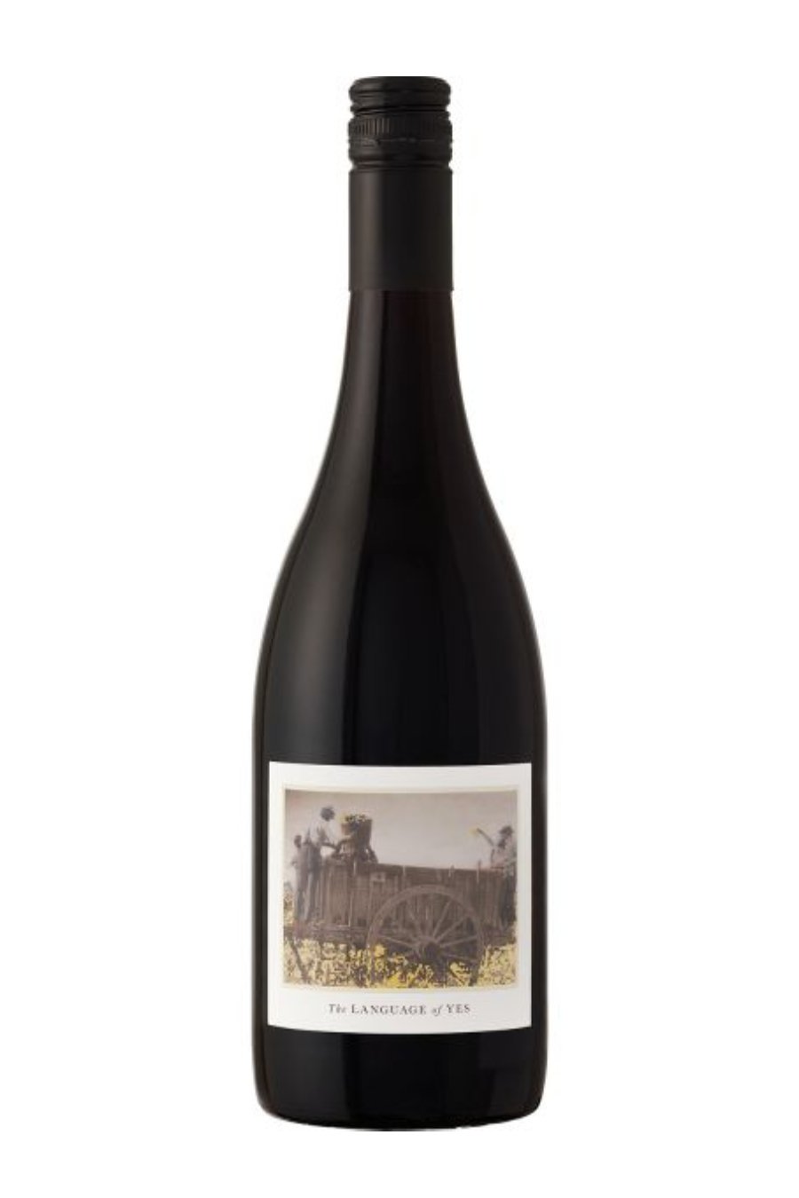 Language Of Yes Syrah Maria 2021 750 ML