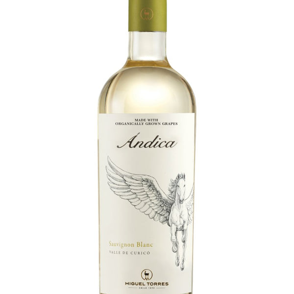 MiguelTorresAndicaSauvignonBla