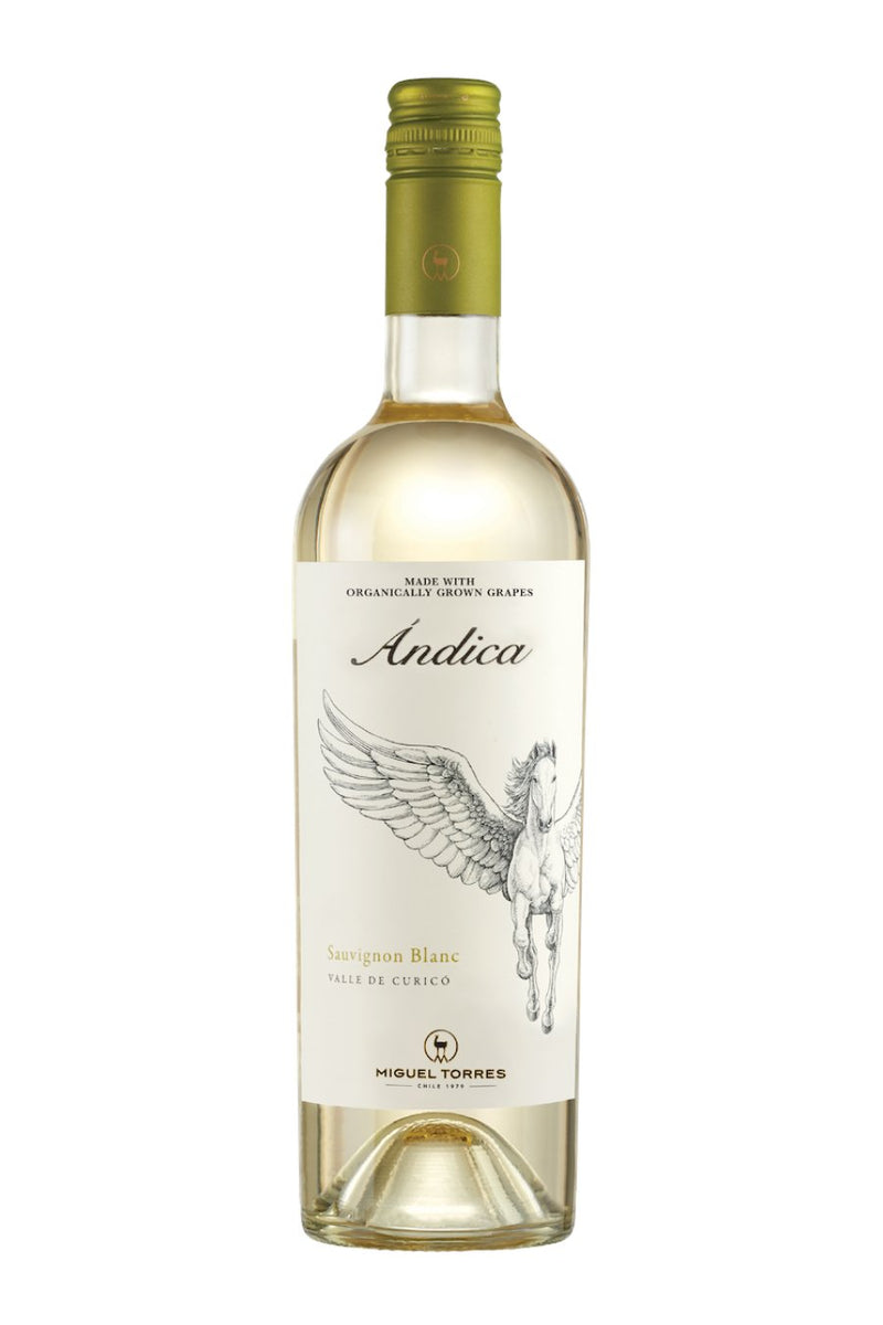 Miguel Torres Andica Sauvignon Blanc 2023 - 750 ML